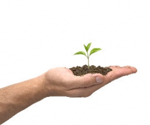 Sales Leadership Greatness: 4 Part Discussion about Coaching Styles - Part 1