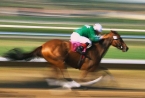 Recruiting Salespeople: The Personality Trait of Goal-Orientation Sets the Pace of Work
