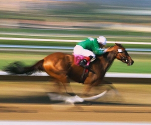 Recruiting Salespeople: The Personality Trait of Goal-Orientation Sets the Pace of Work