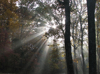 courage from the light
