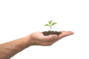 Sales Leadership Greatness: 4 Part Discussion about Coaching Styles - Part 1