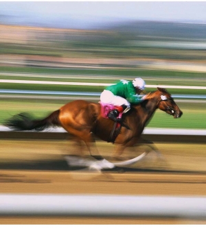 Recruiting Salespeople: The Personality Trait of Goal-Orientation Sets the Pace of Work