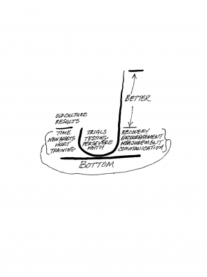 The Optimistic Person Perseveres When Tested in a Trial