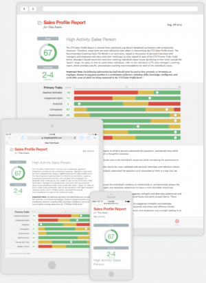 The 13 Fundamentals for Powerful Sales Assessments