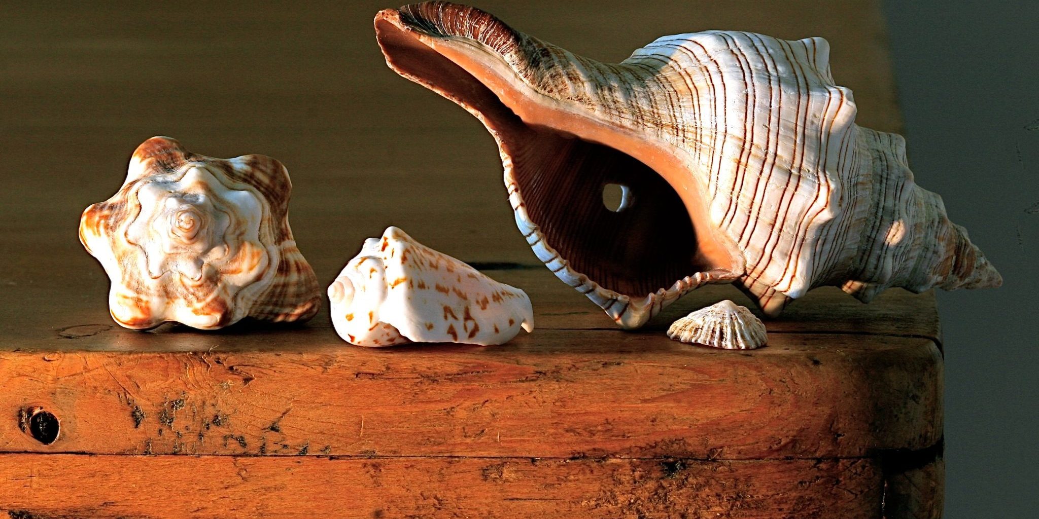 james-wainscoat-ACYPG4zBUwE-unsplash