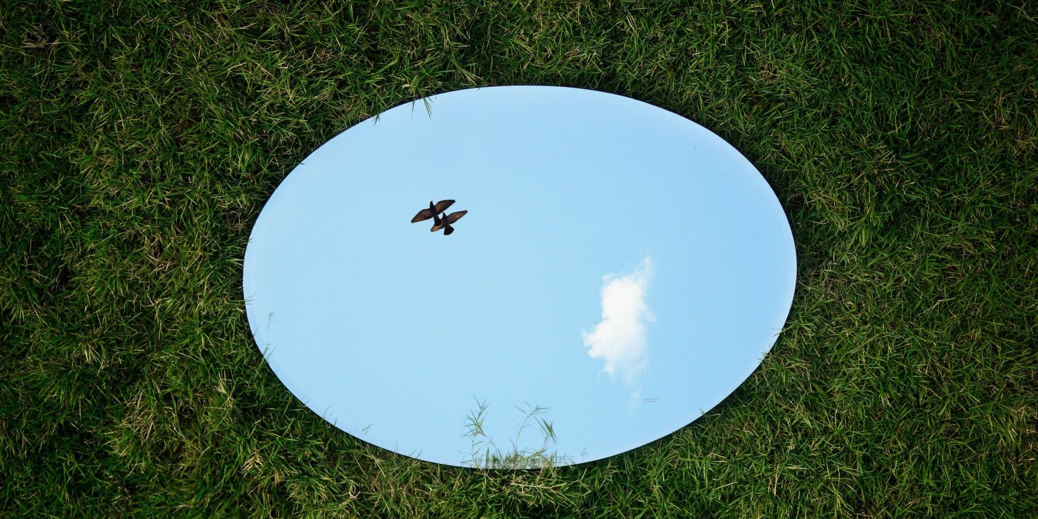 jovis-aloor-4YxXWYW7JqQ-unsplash